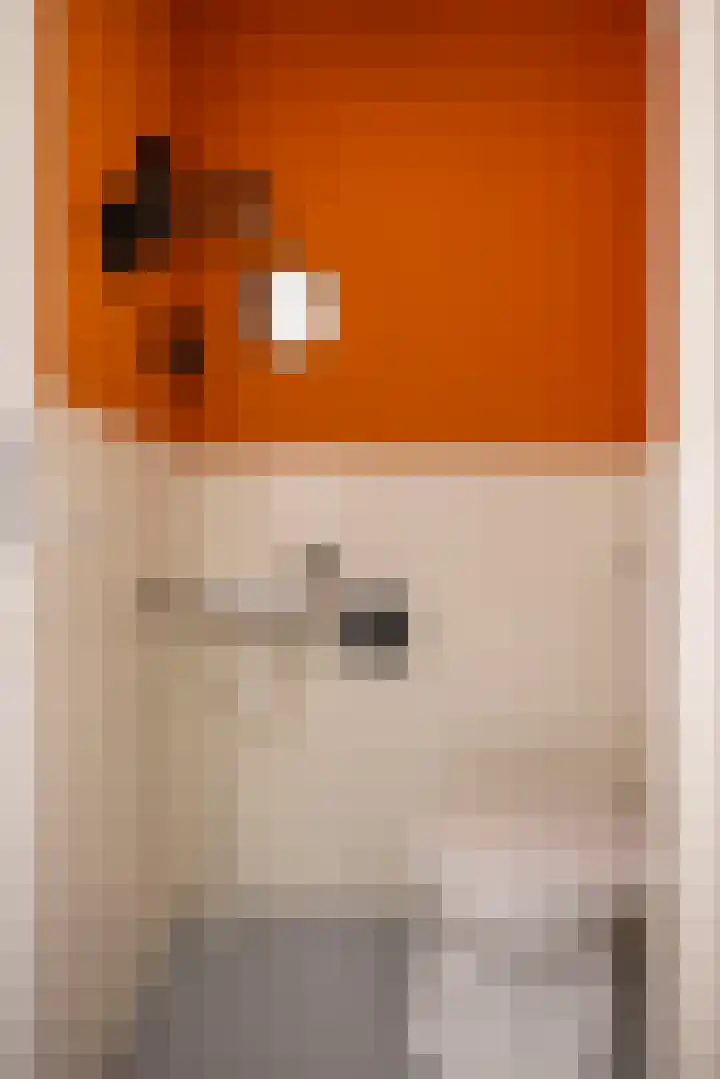 Borg 5 Grijpskerk thumbnail 19