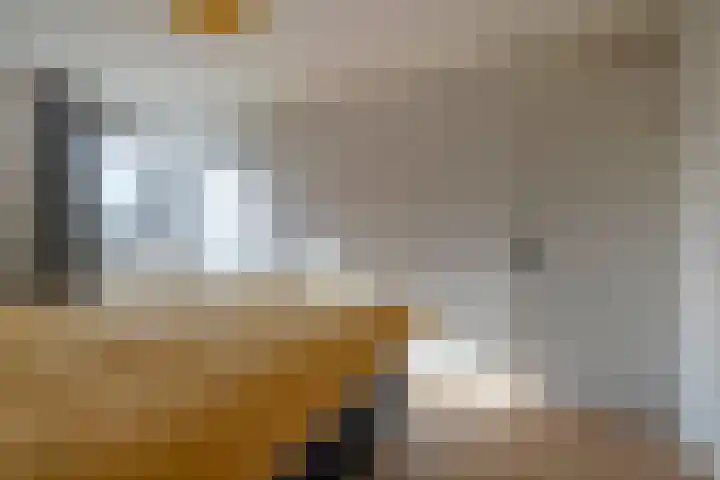 Borg 5 Grijpskerk thumbnail 28