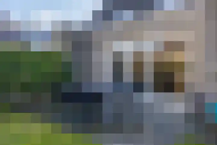 Borg 5 Grijpskerk thumbnail 36