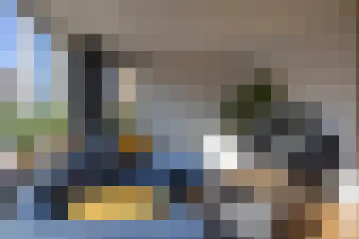 Borg 5 Grijpskerk thumbnail 8