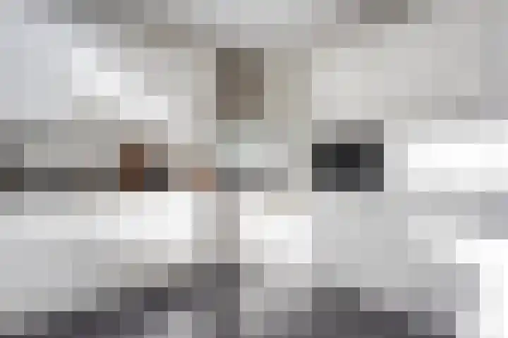 Borg Allersma 1 Almelo thumbnail 11