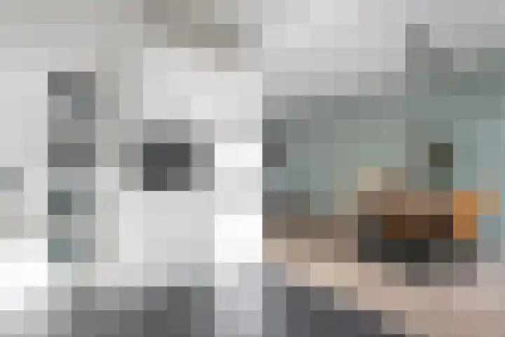 Borg Allersma 1 Almelo thumbnail 12