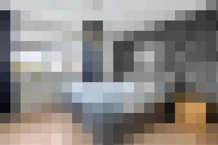 Borg Allersma 1 Almelo thumbnail 15