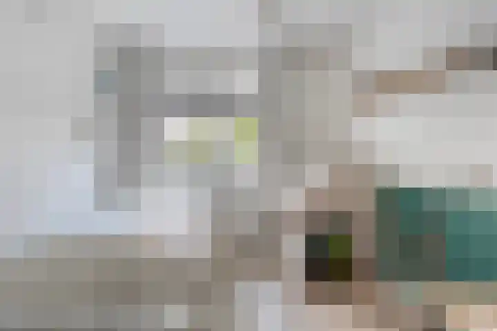 Borg Allersma 1 Almelo thumbnail 16