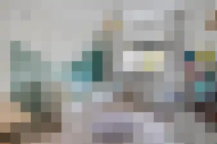 Borg Allersma 1 Almelo thumbnail 17