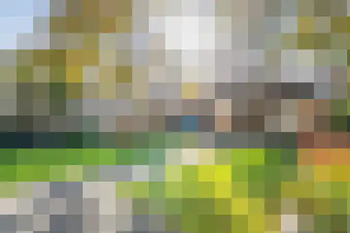 Borg Allersma 1 Almelo thumbnail 26