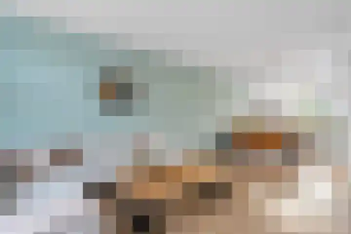 Borg Allersma 1 Almelo thumbnail 7