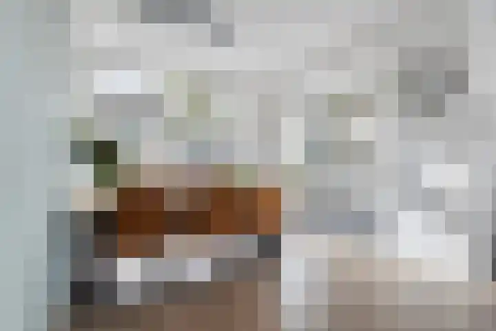 Borg Allersma 1 Almelo thumbnail 8