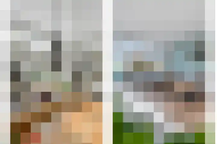 Borg Allersma 1 Almelo thumbnail 9