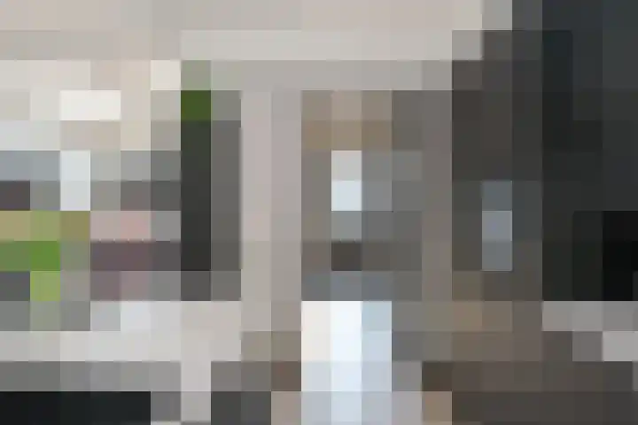 Borg Allersma 23 Almelo thumbnail 11