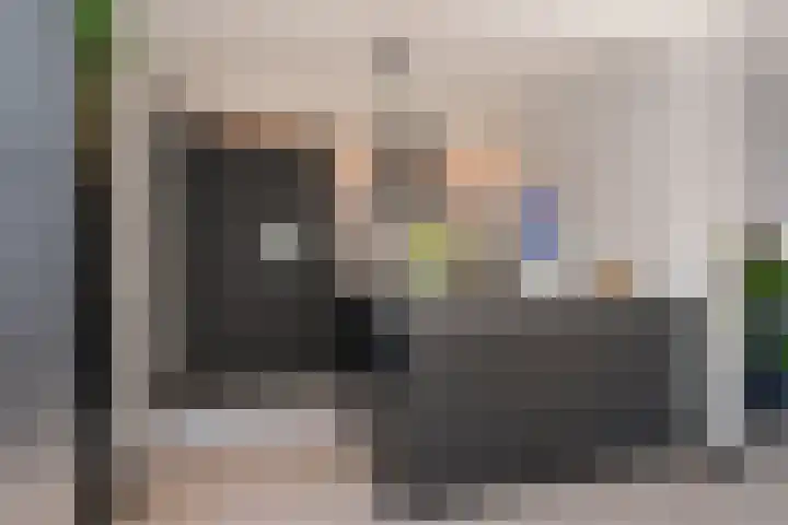 Borg Allersma 23 Almelo thumbnail 13