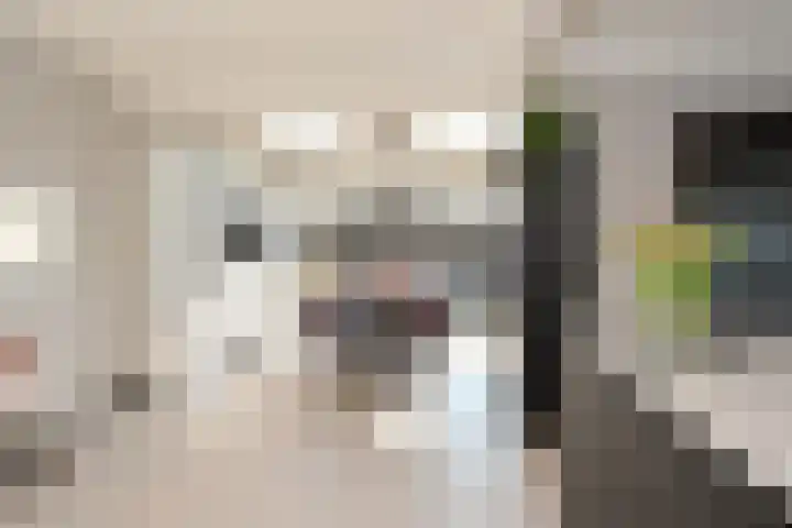 Borg Allersma 23 Almelo thumbnail 15