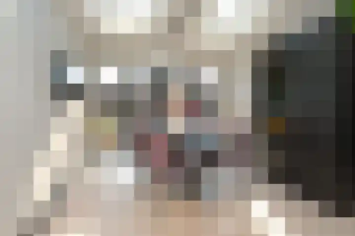 Borg Allersma 23 Almelo thumbnail 16