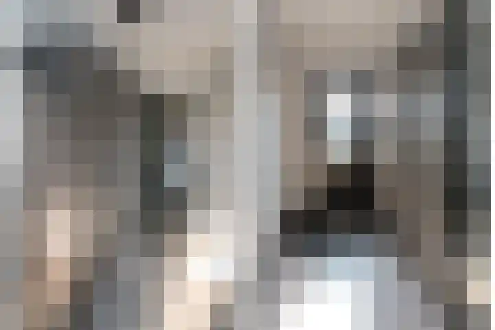 Borg Allersma 23 Almelo thumbnail 19