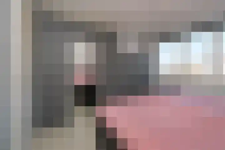 Borg Allersma 23 Almelo thumbnail 22