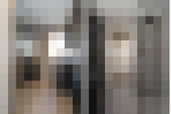 Borg Allersma 23 Almelo thumbnail 26