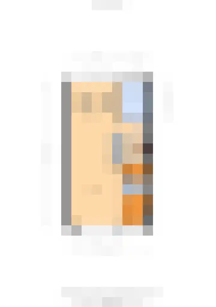 Borg Allersma 23 Almelo thumbnail 35