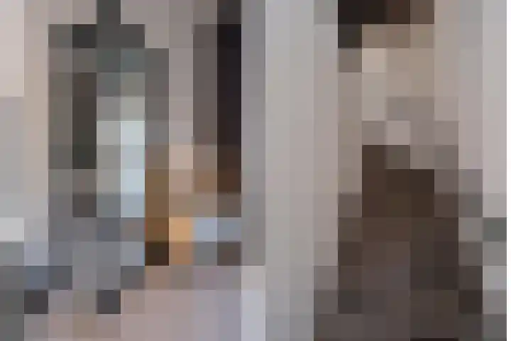 Borg Allersma 23 Almelo thumbnail 7