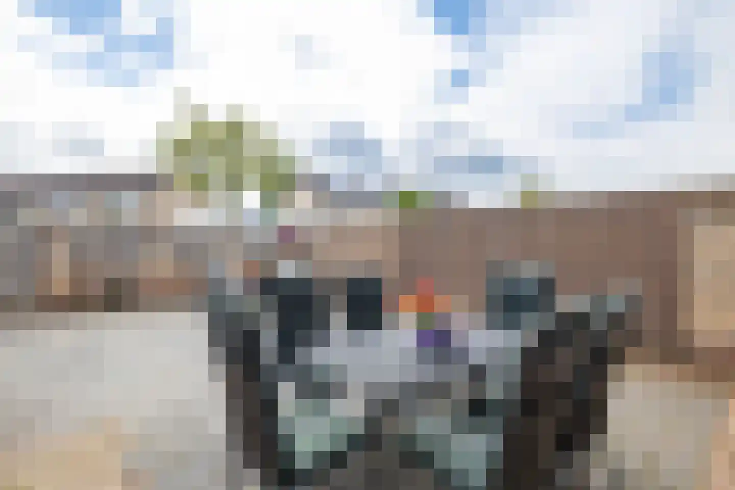 Borg Allersma 30 Almelo thumbnail 26