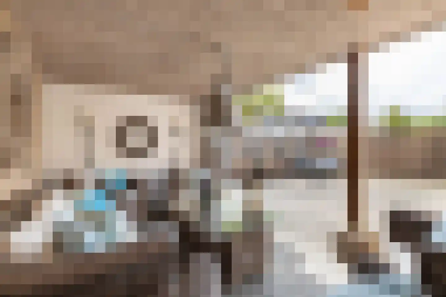 Borg Allersma 30 Almelo thumbnail 28