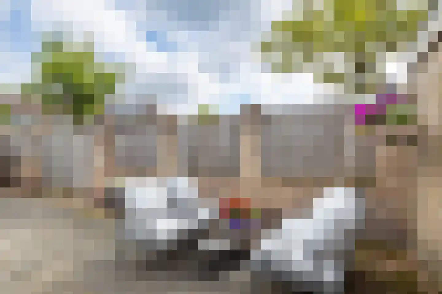 Borg Allersma 30 Almelo thumbnail 29