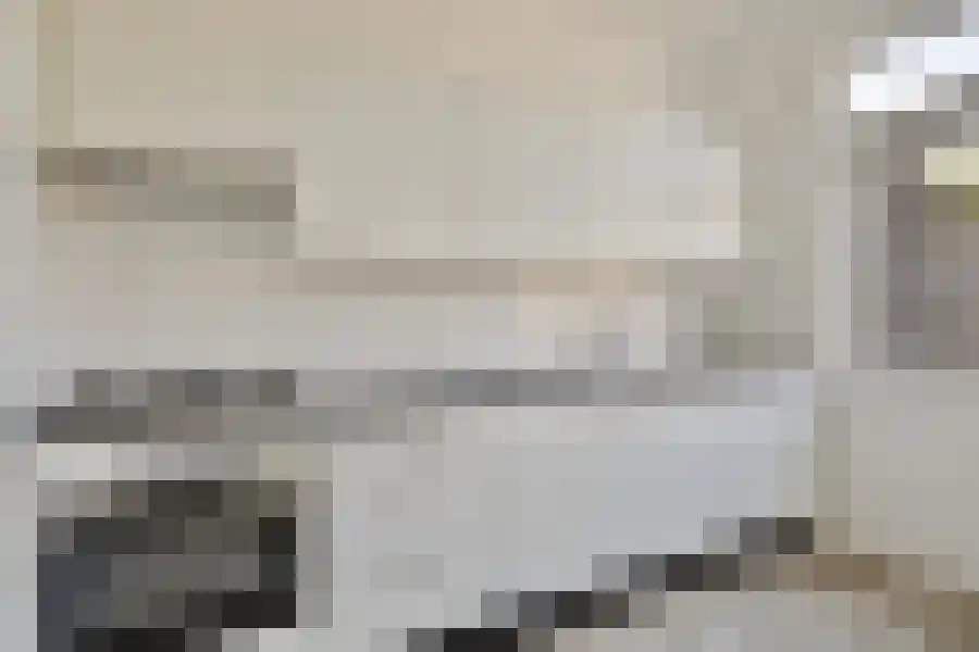 Borg Allersma 41 Almelo thumbnail 11