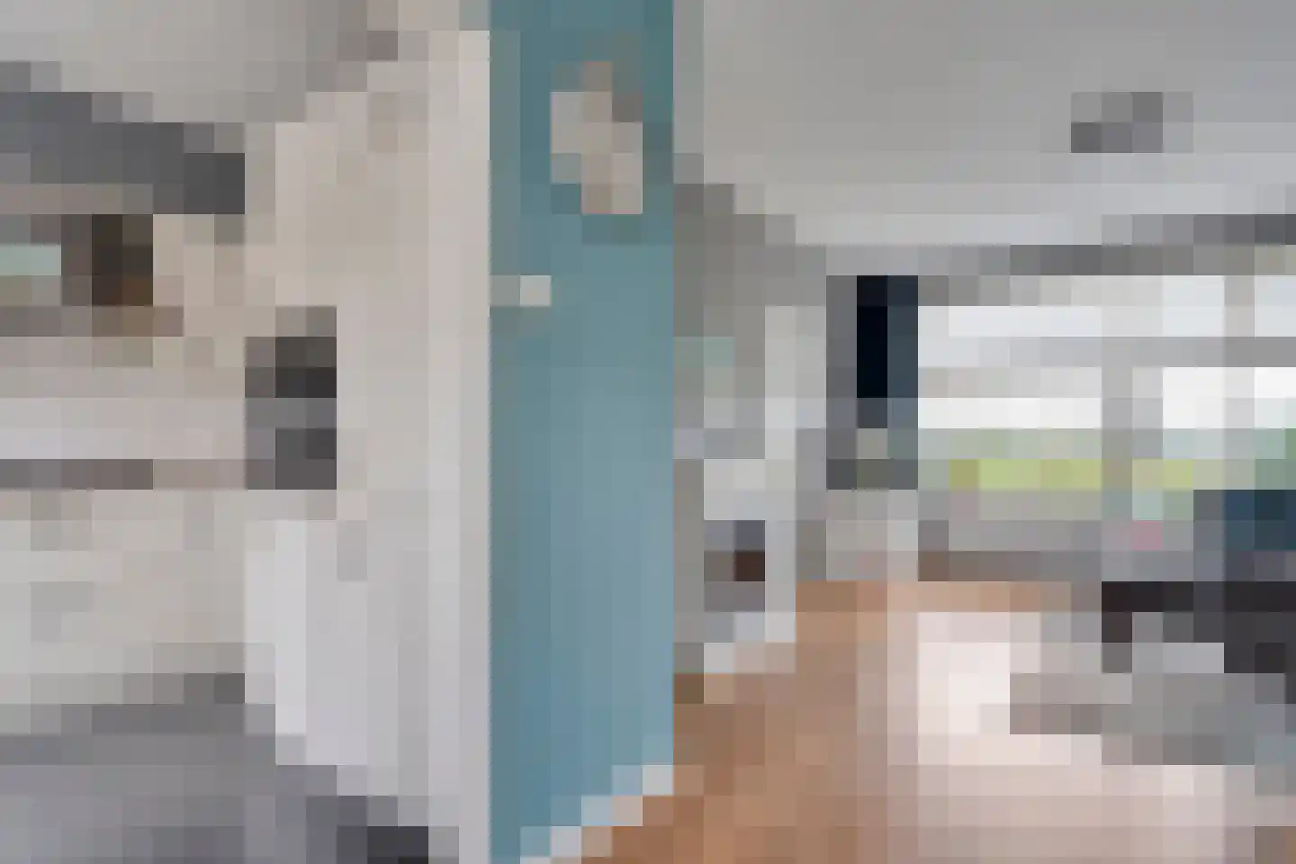 Borg Ekenstein 21 Almelo thumbnail 12