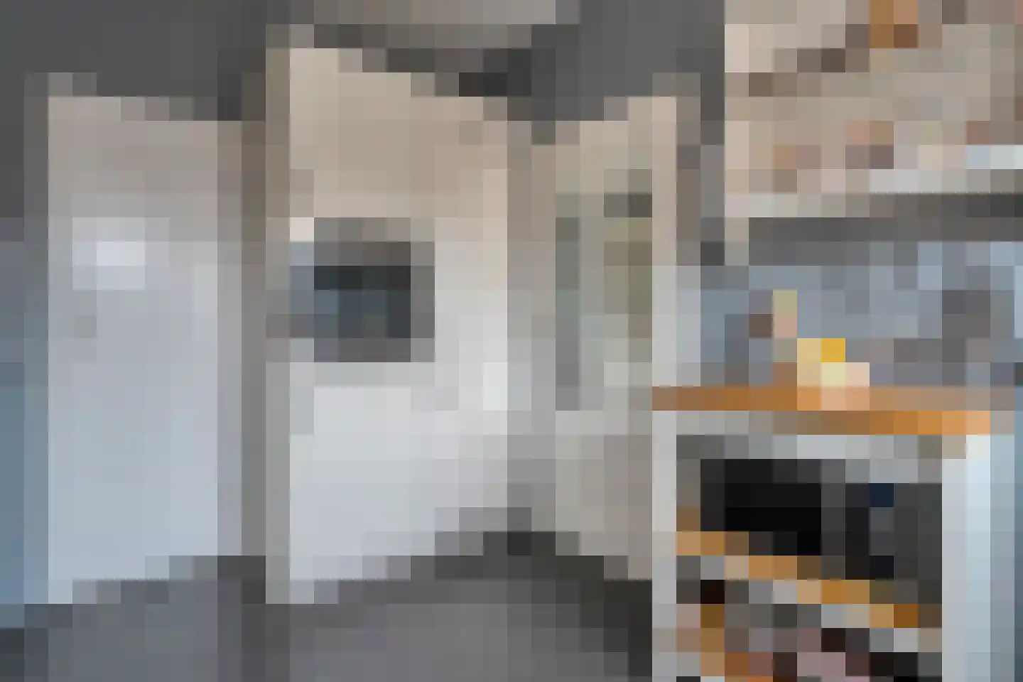 Borg Ekenstein 21 Almelo thumbnail 13