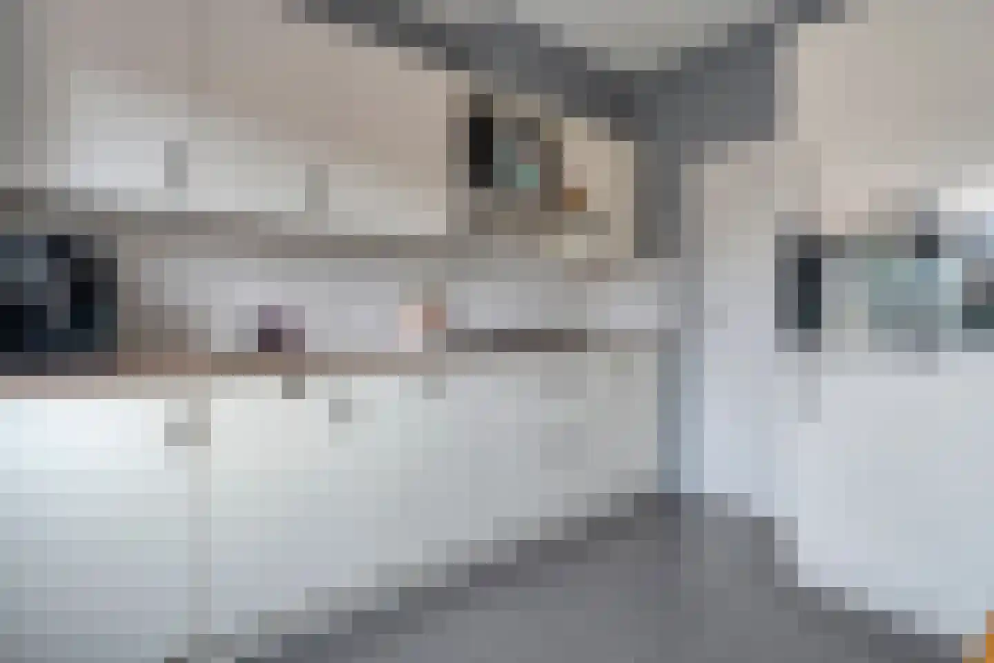 Borg Ekenstein 21 Almelo thumbnail 14