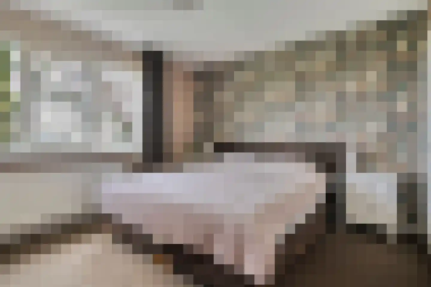 Borg Ekenstein 21 Almelo thumbnail 17