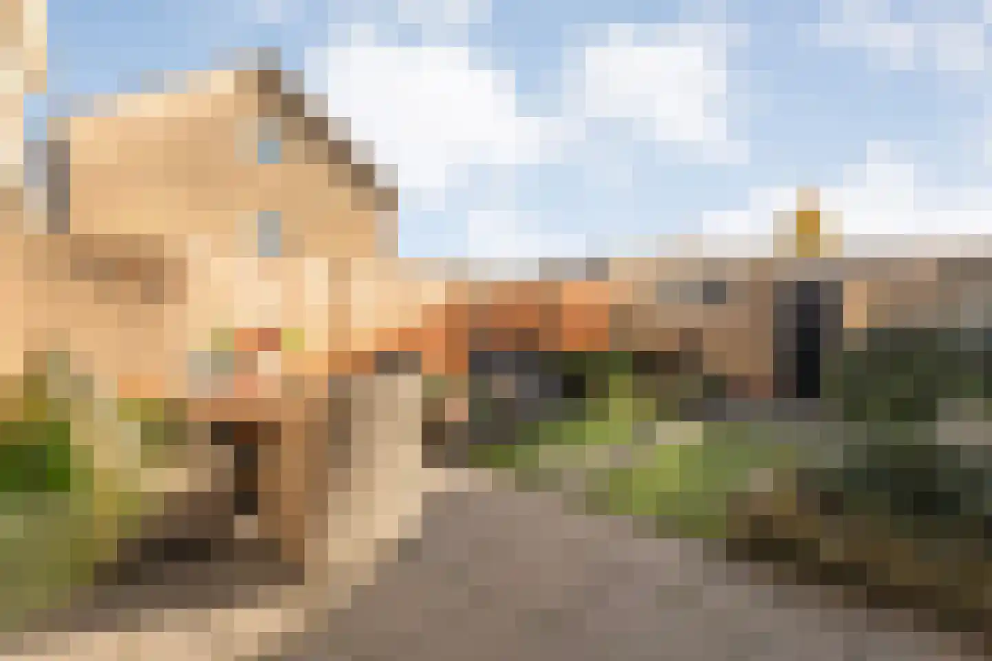 Borg Ekenstein 21 Almelo thumbnail 23