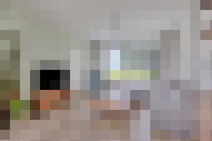 Borg Ekenstein 81 Almelo thumbnail 10