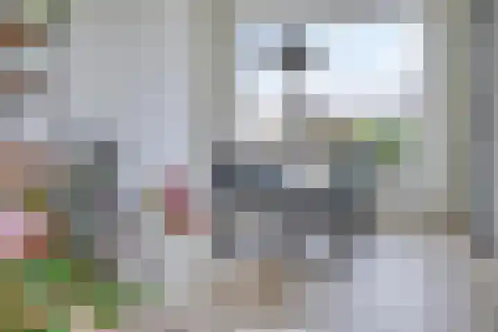 Borg Ekenstein 81 Almelo thumbnail 14