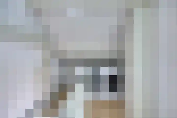 Borg Ekenstein 81 Almelo thumbnail 32
