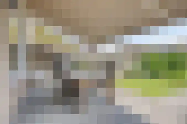 Borg Ekenstein 81 Almelo thumbnail 36