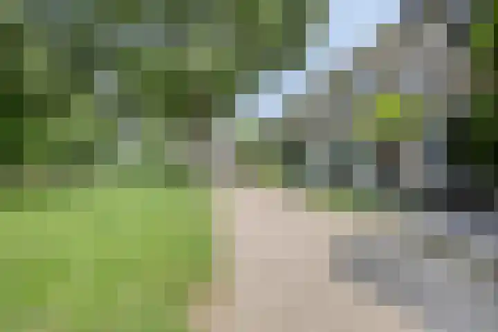 Borg Ekenstein 81 Almelo thumbnail 41