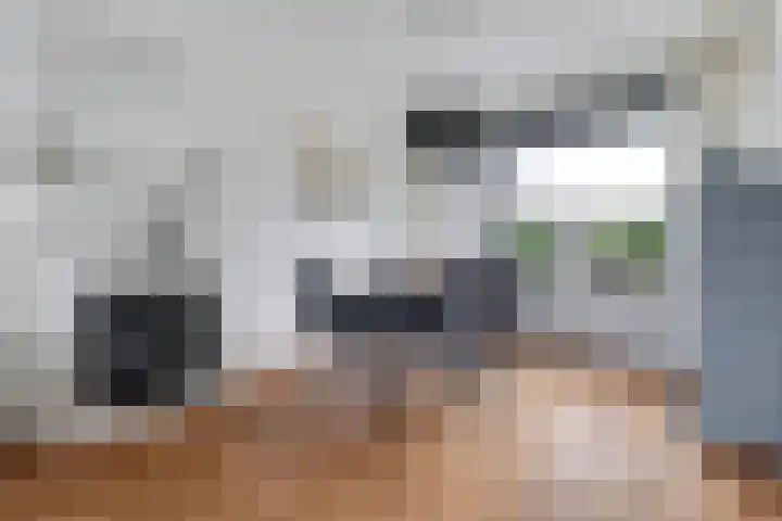 Borg Ekenstein 9 Almelo thumbnail 11