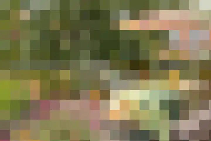 Borg Ekenstein 9 Almelo thumbnail 18