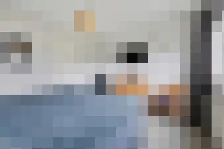 Borg Ekenstein 9 Almelo thumbnail 18