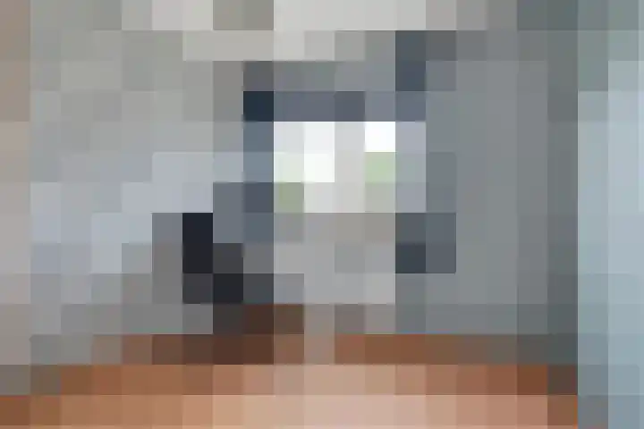 Borg Ekenstein 9 Almelo thumbnail 21