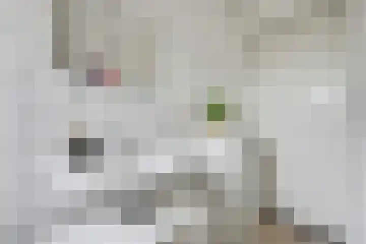 Borg Ekenstein 9 Almelo thumbnail 24