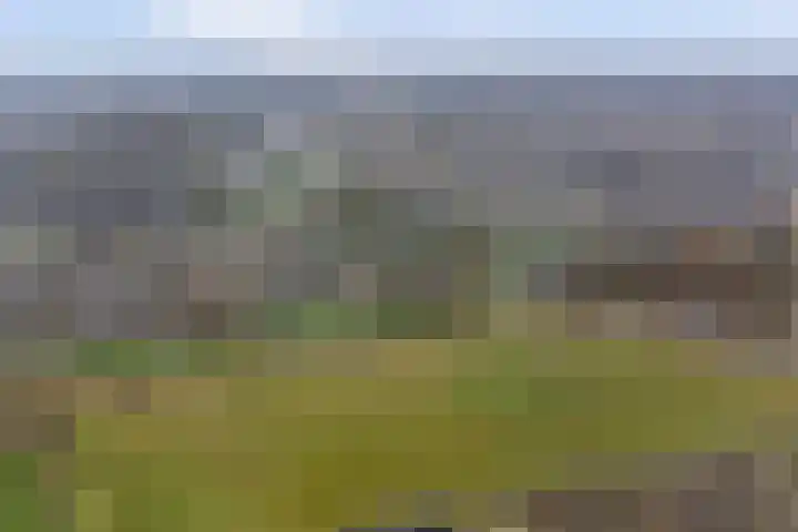 Borg Ekenstein 9 Almelo thumbnail 41