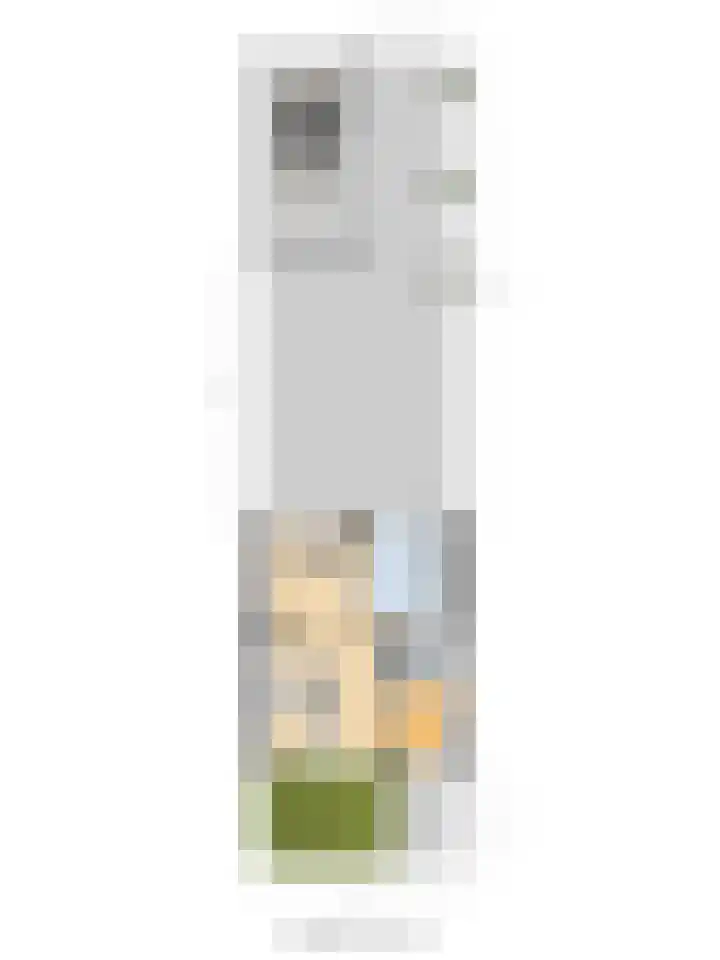 Borg Ekenstein 9 Almelo thumbnail 43