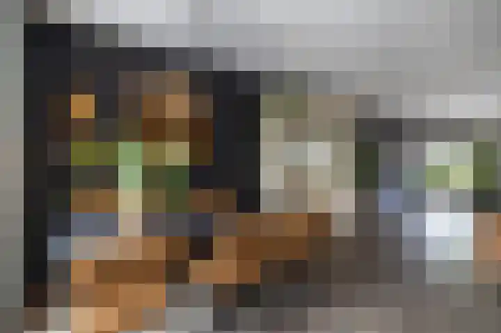 Borg Ewsum 106 Almelo thumbnail 10