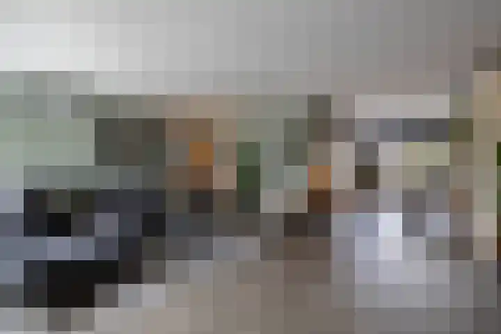 Borg Ewsum 106 Almelo thumbnail 11