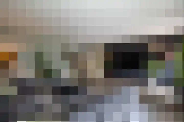 Borg Ewsum 106 Almelo thumbnail 12