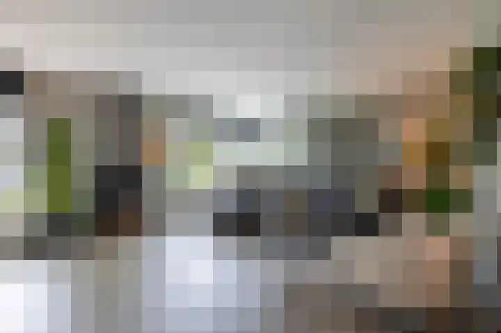 Borg Ewsum 106 Almelo thumbnail 13