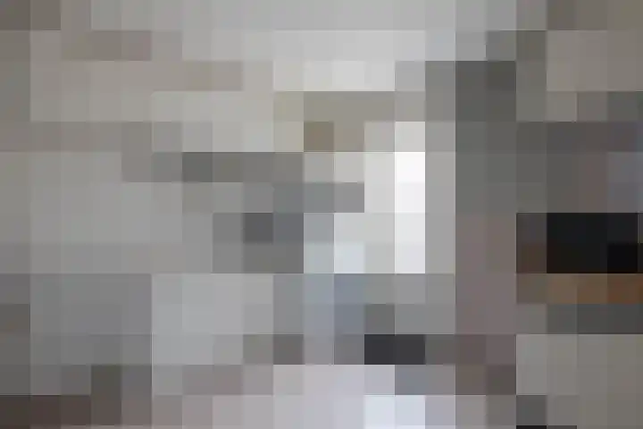 Borg Ewsum 106 Almelo thumbnail 16