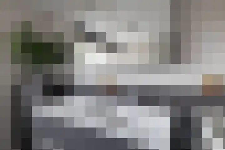 Borg Ewsum 106 Almelo thumbnail 19