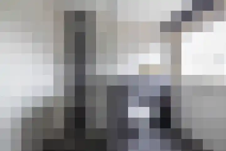 Borg Ewsum 106 Almelo thumbnail 20